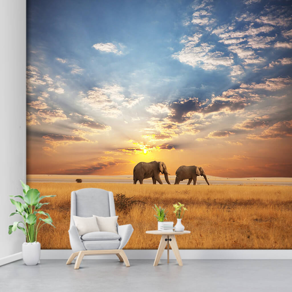 Namibia safari tours and elephants 3D custom wall mural