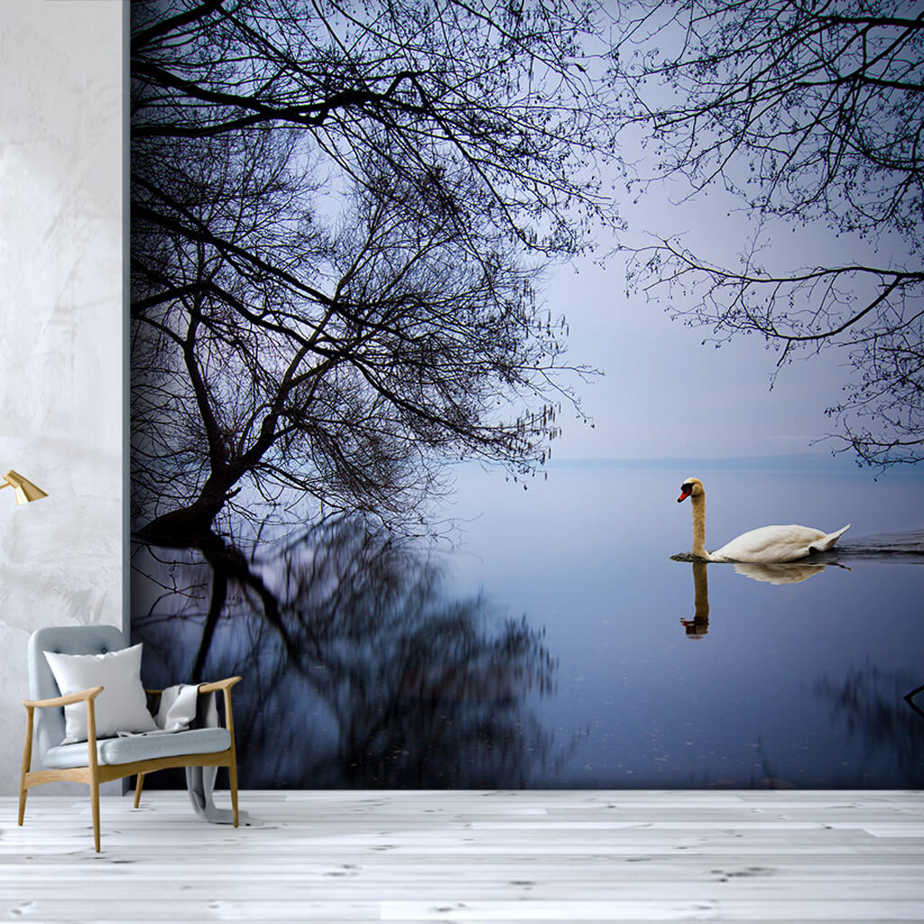 White swan floating in a foggy lake animals wall mural