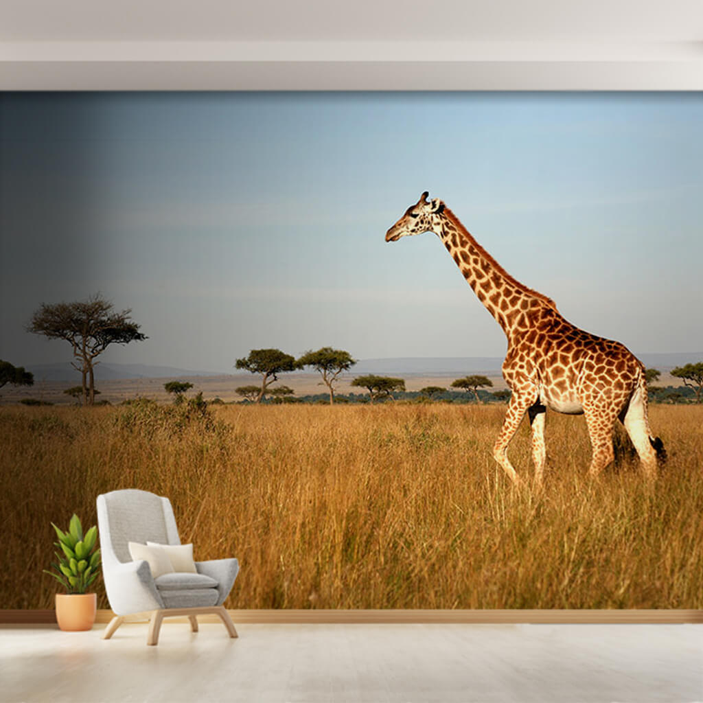Walking giraffe in savannah African animals Kenya wall mural