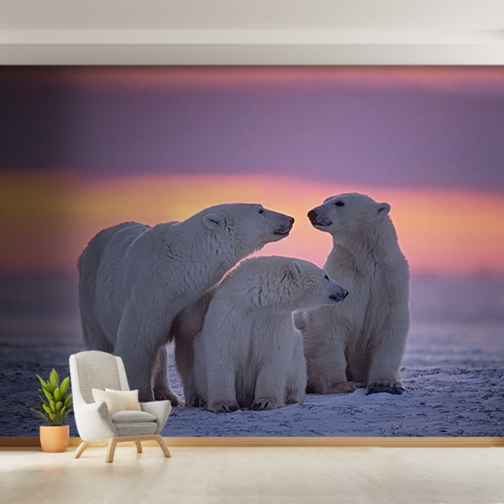 White polar bears and northern lights custom wall mural