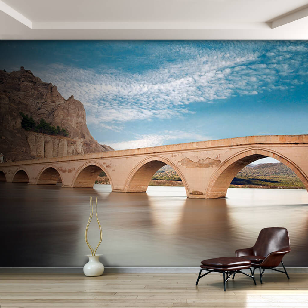 Historic arched Koyunbaba Bridge Corum Turkey wall mural