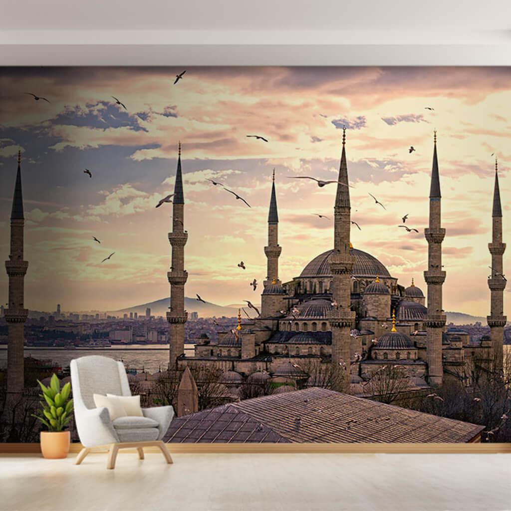 Sultan Ahmet Mosques 6 minarets and birds Istanbul wall mural