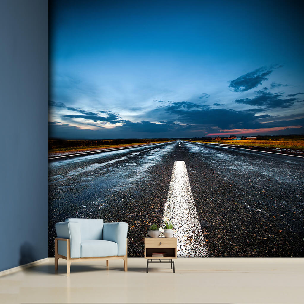 Highway leading to horizon Death Valley Nevada wall mural