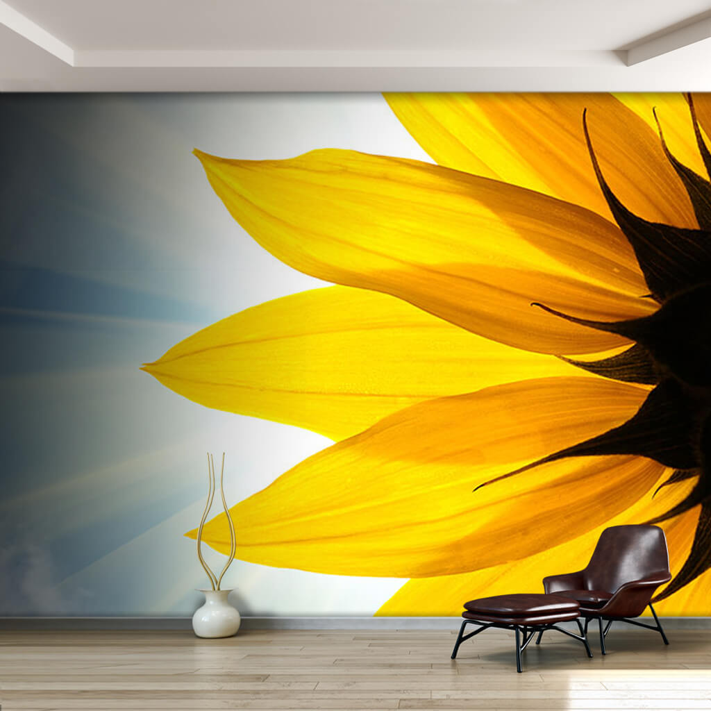 Sun lights and yellow sunflower in spring flowered wall mural