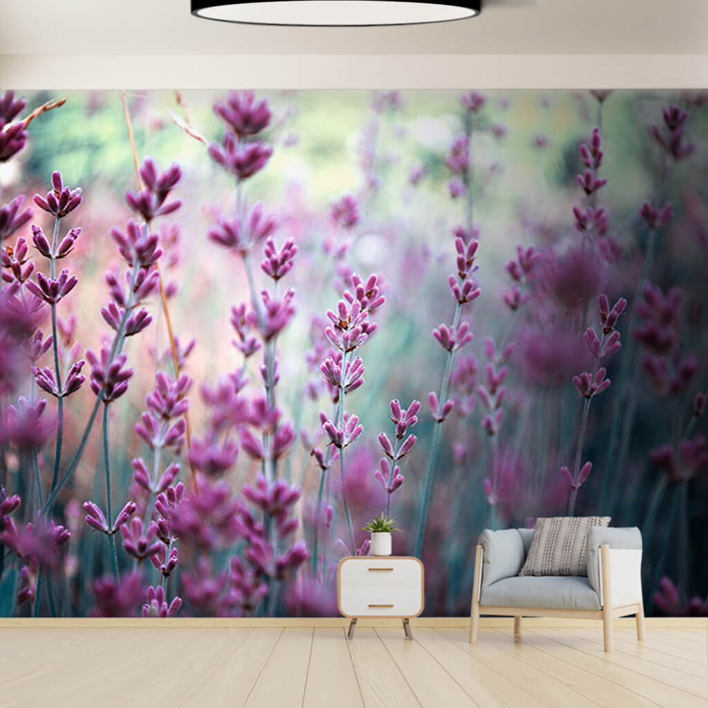 Pink purple lavata flowers orchard personizable wall mural