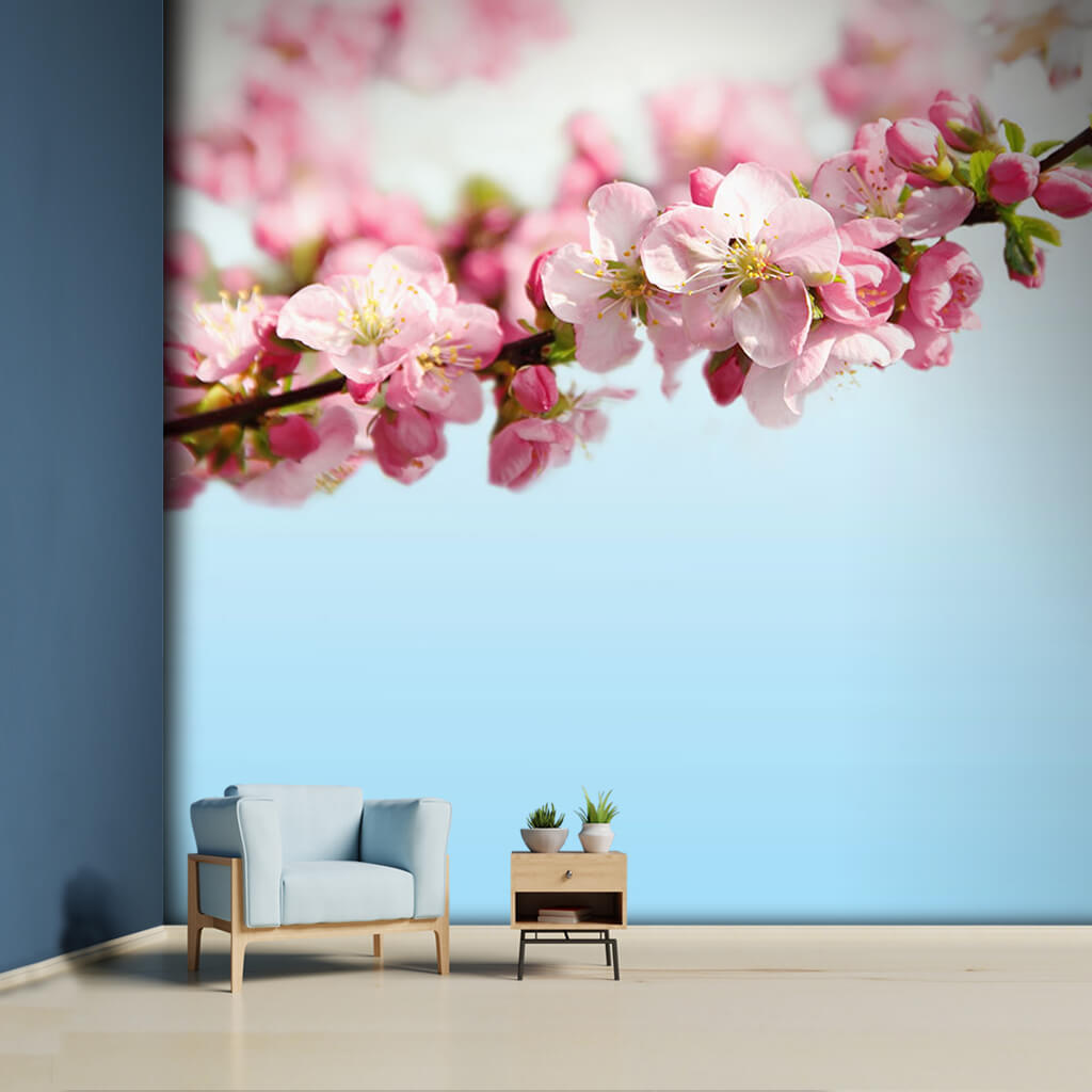 Pink white sakura cherry blossoms at its branch wall mural