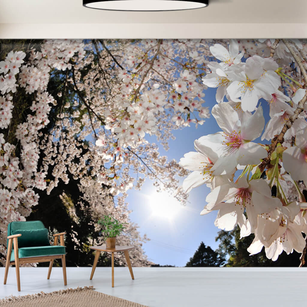 White floral cherry plum tree branch sakura custom wallpaper