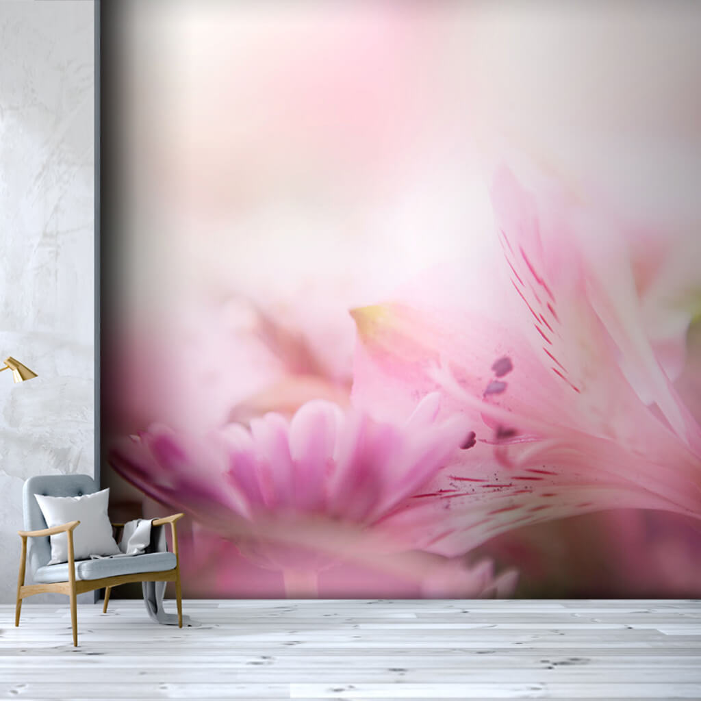 Pink lily gerbera flowers with soft colors wall mural