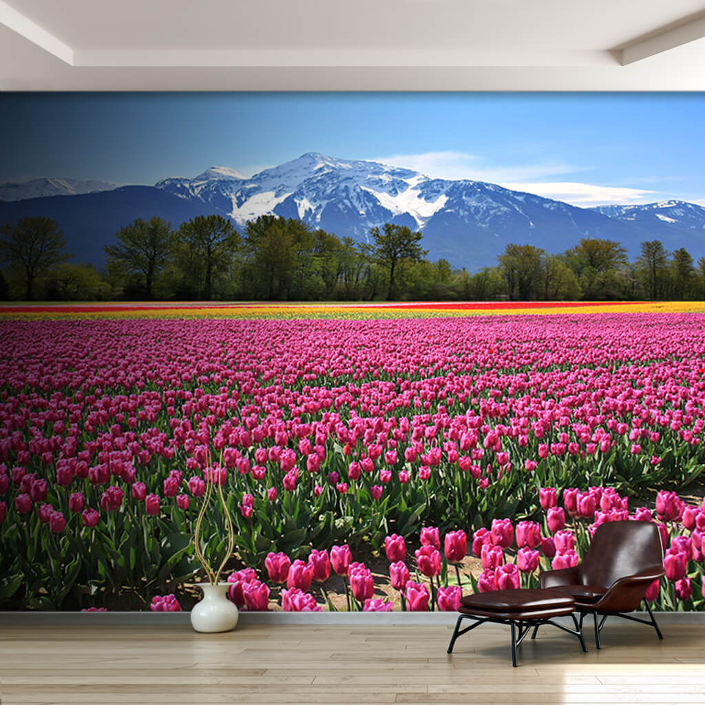 Pink yellow red flowers field Netherland wall mural