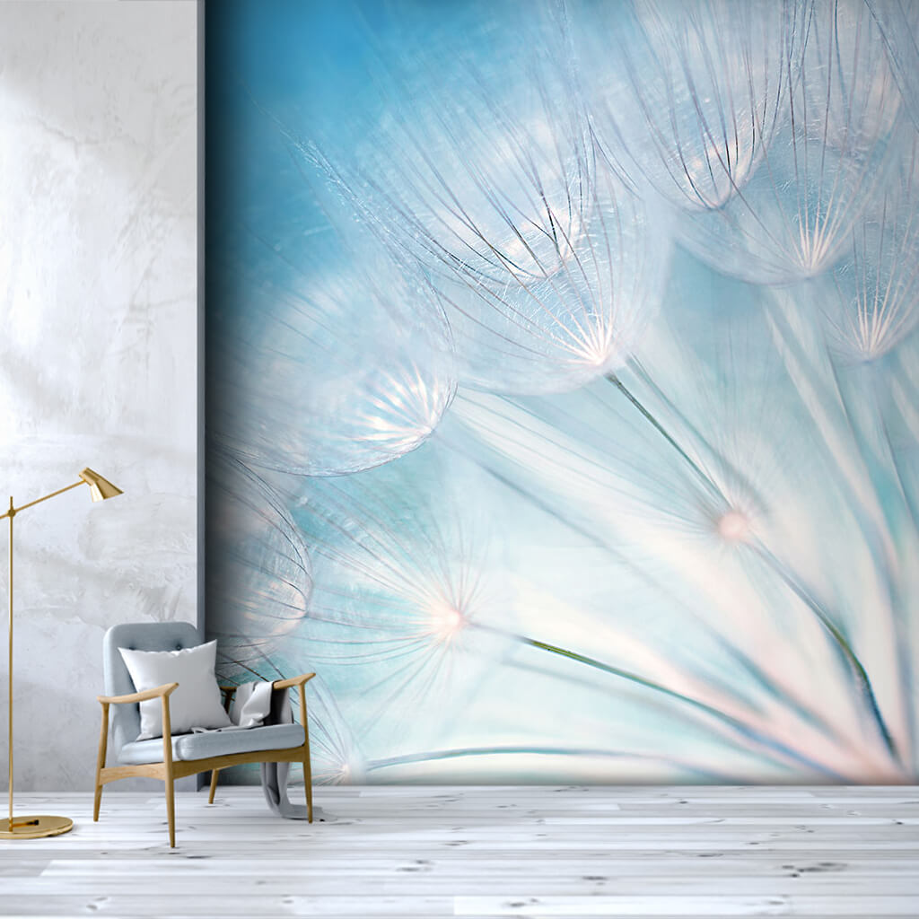 White dandelion flowers in blue background custom wall mural