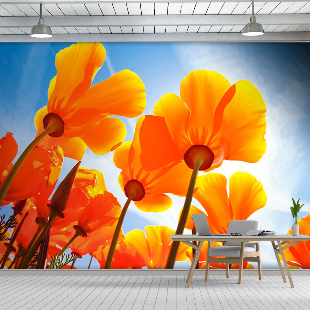 Orange violet flowers rising to blue sky custom wall mural