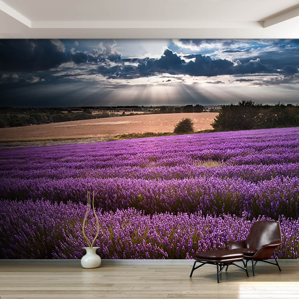 Purple lavender field with clouds and sun custom wall mural