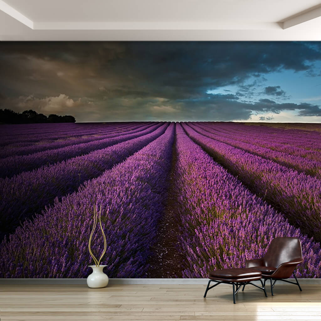 Purple lavender field and cloudy horizons at sunset wall mural