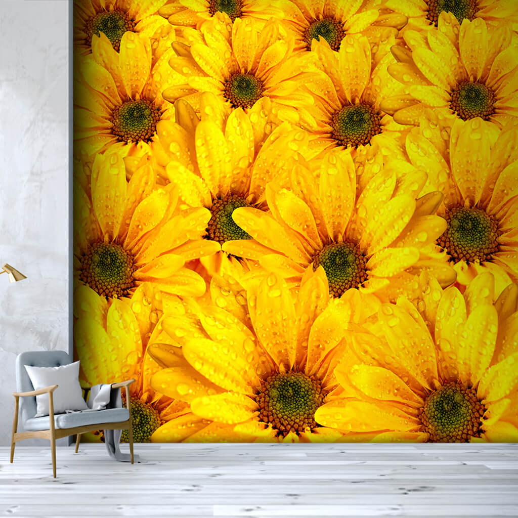 Sarı gerbera jerbera sapsarı çiçek demeti duvar kağıdı