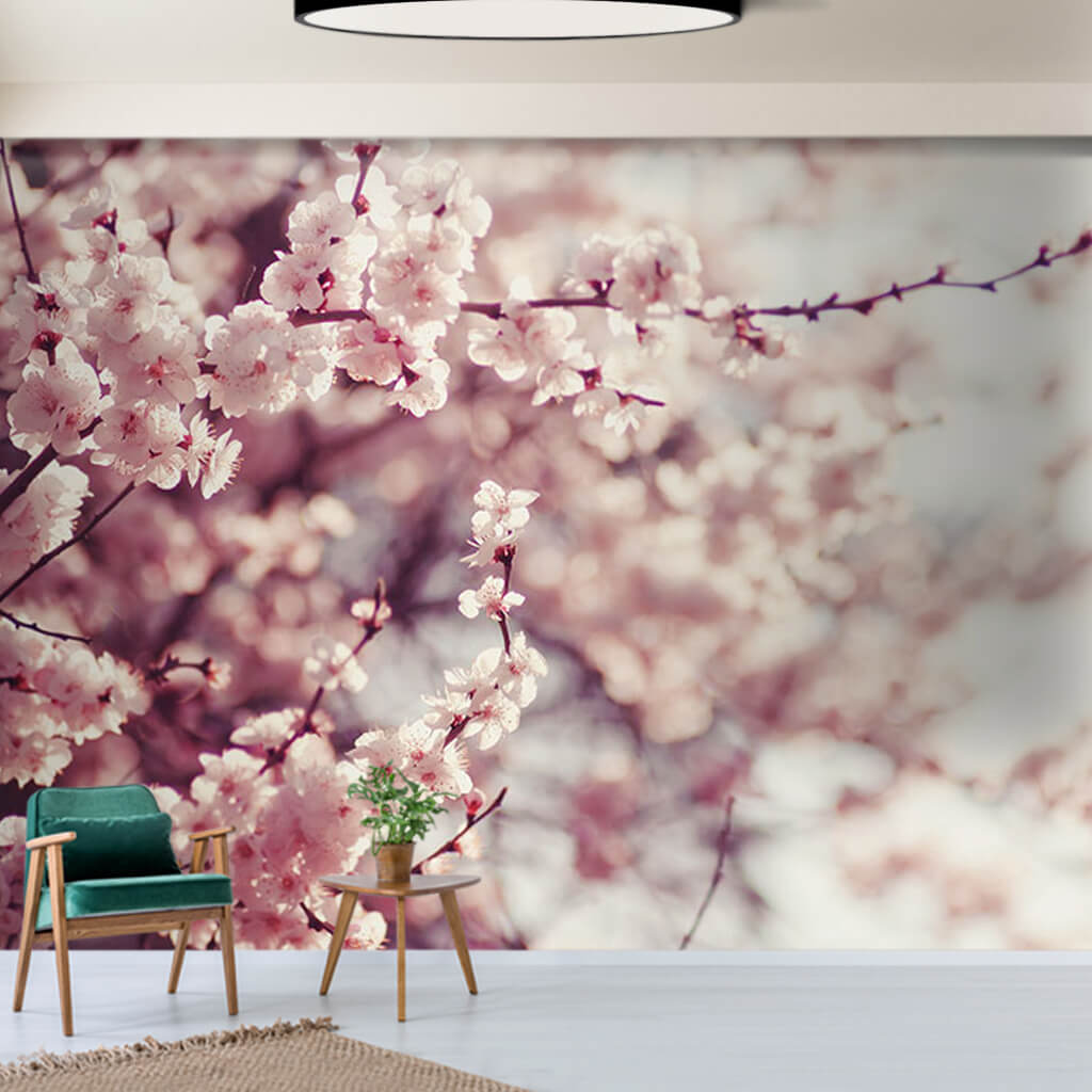 Pink cherry blossoms on the branch sakura spring wall mural