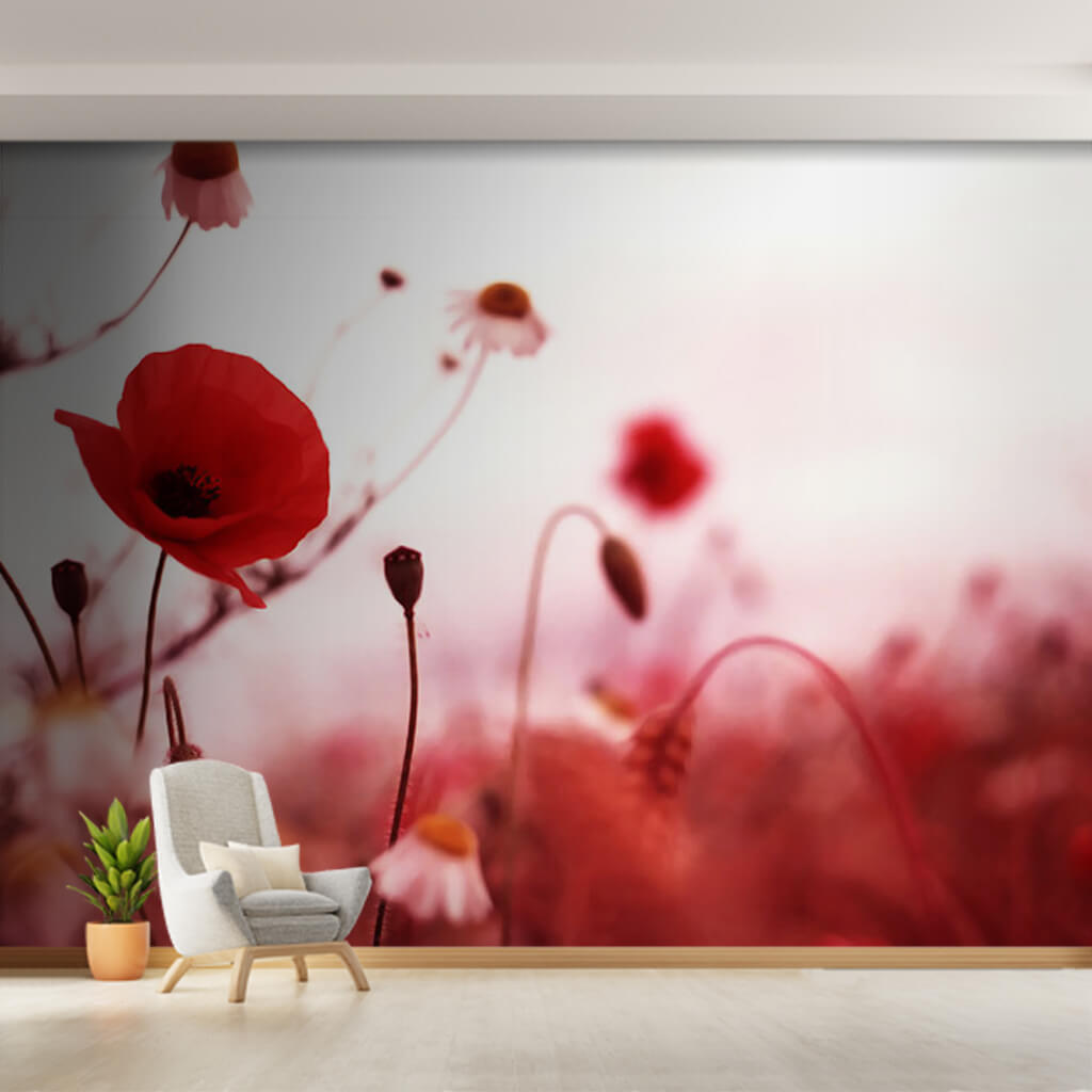 Red poppy and daisies parterre customizable wall mural