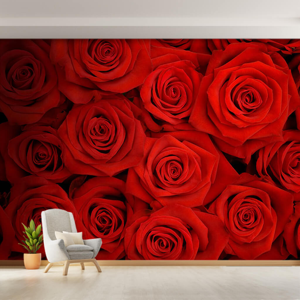 Tutku ve aşk temalı kırmızı güller yatak odası duvar kağıdı