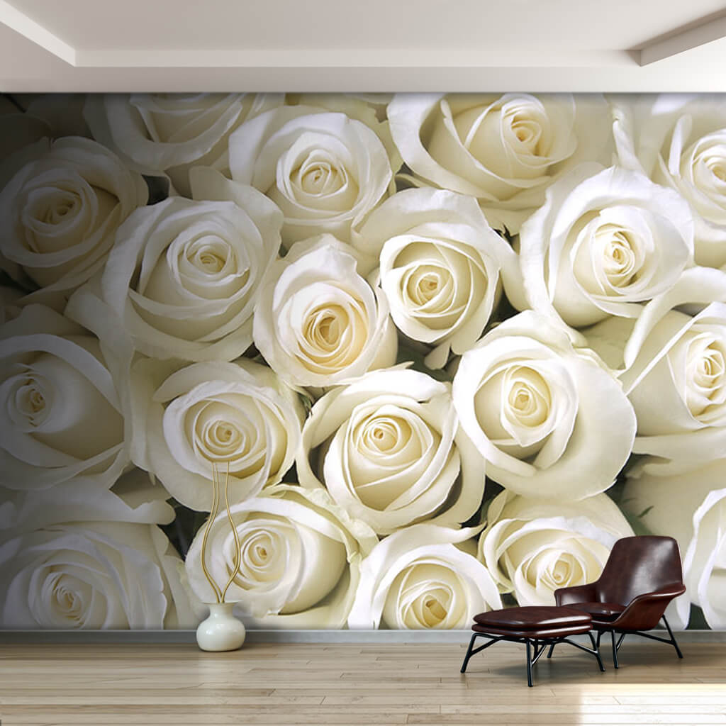 Masumiyet simgesi beyaz tomurcuk güller çiçekli duvar kağıdı