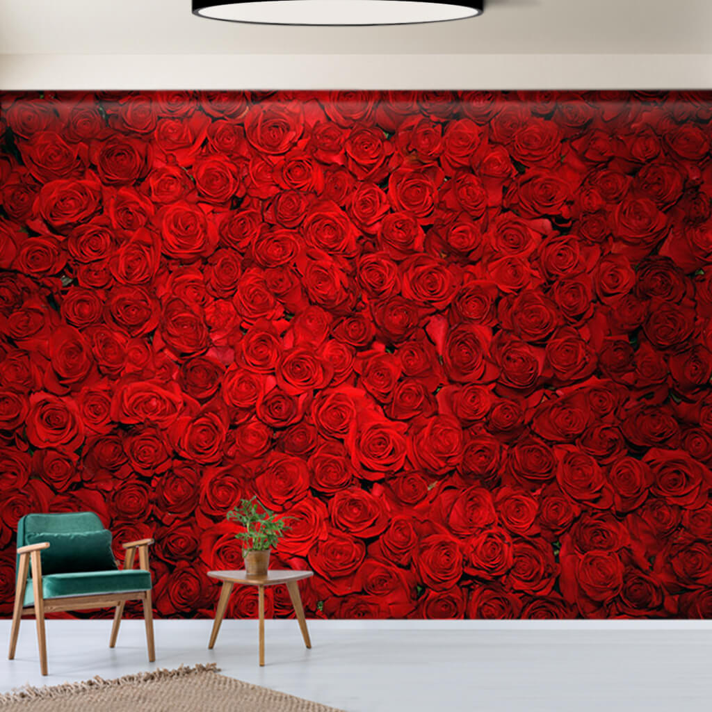 Sex passion and love theme red roses flower wall mural