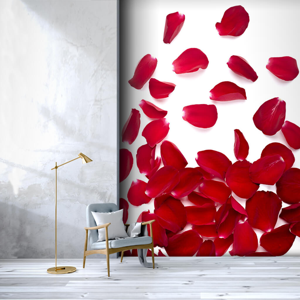 Red rose petals on white ground custom scalable wall mural