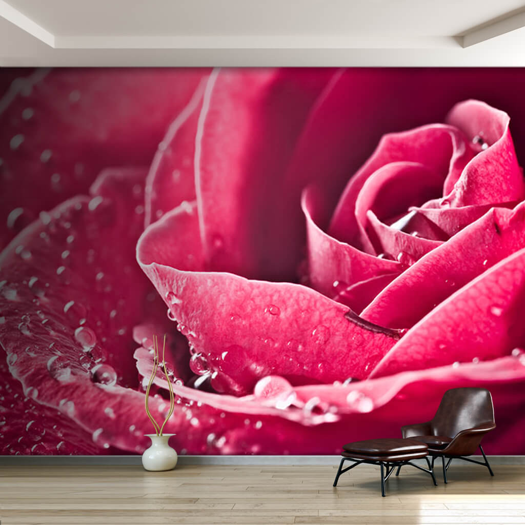 Pink rosebuds with dew drops Custom scalable wall mural