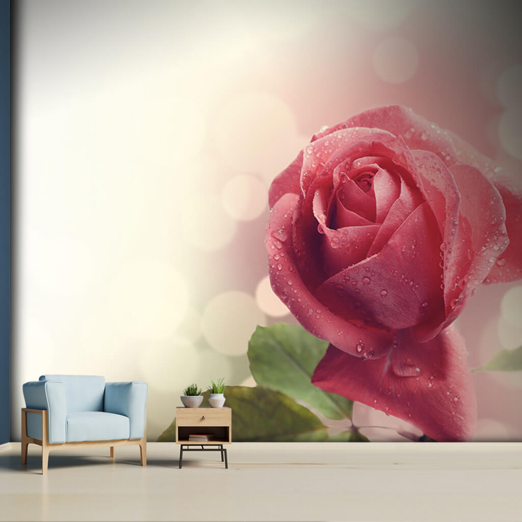 Water drops on soft pink single rosebud scalable wall mural