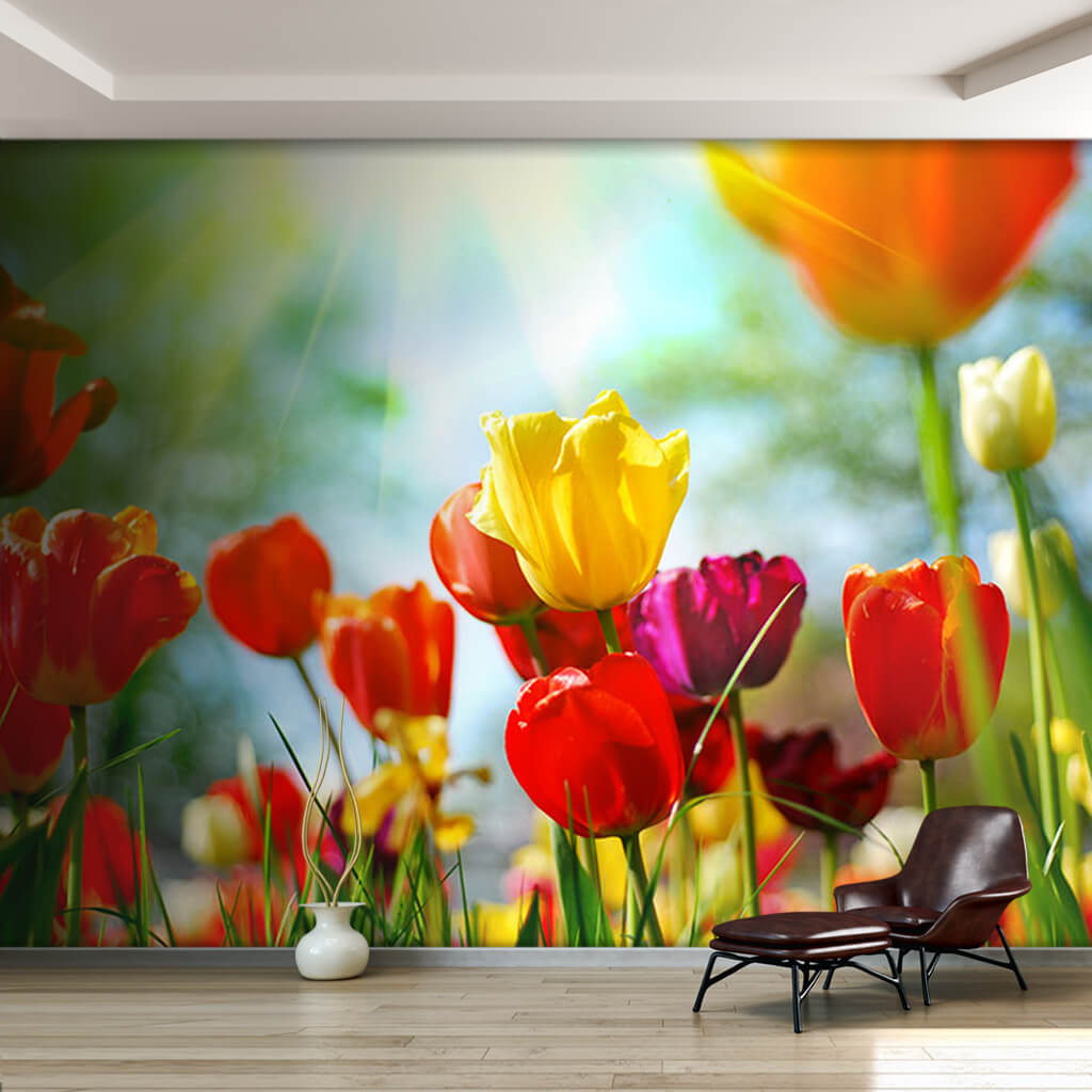 Yellow red purple white tulips in spring floral wall mural