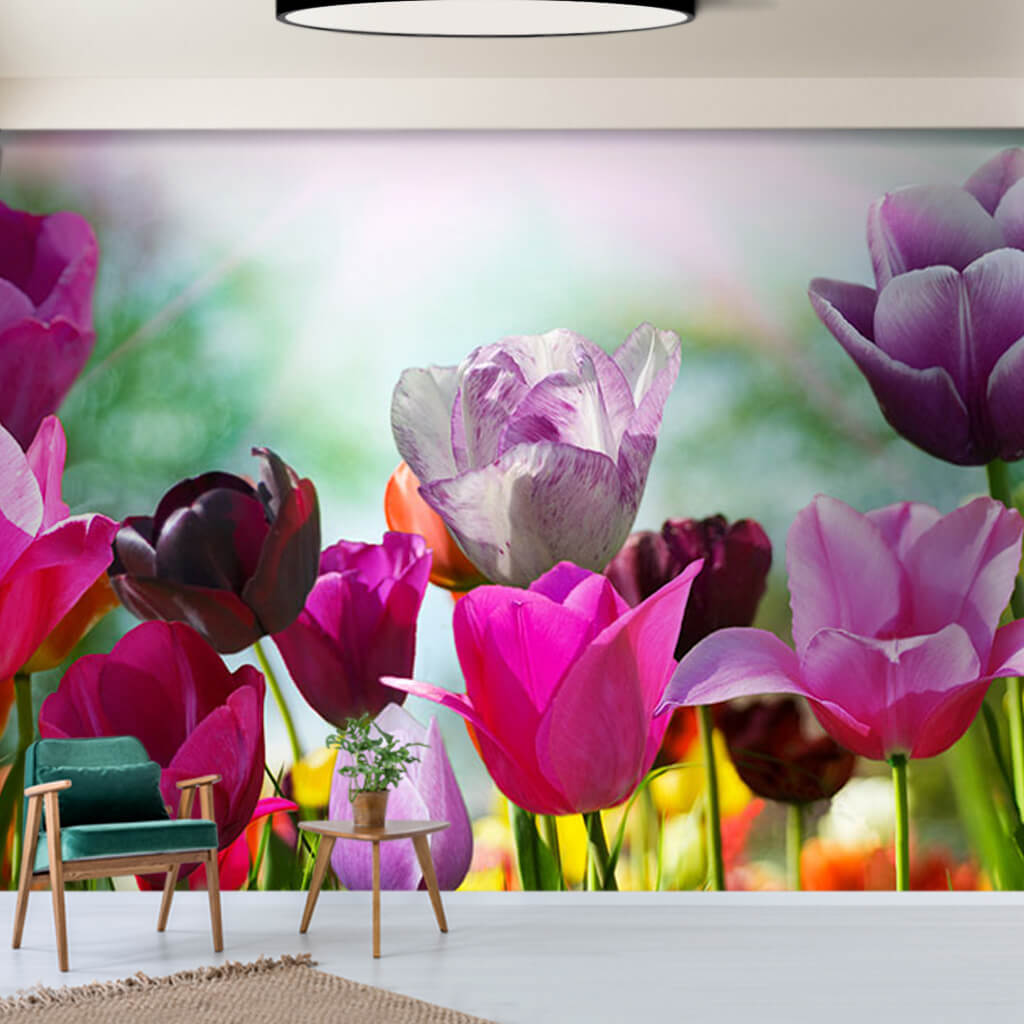 Purple lilac pink white black tulips flowered wall mural