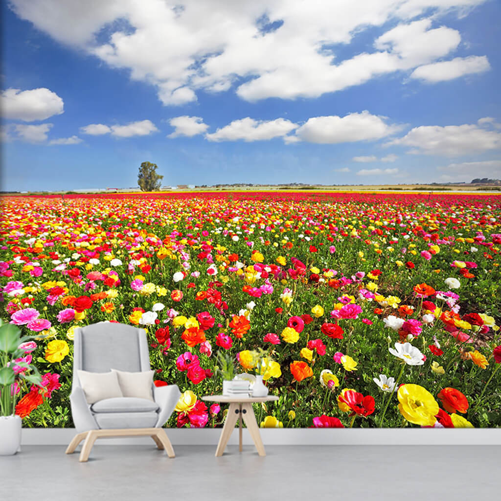 Field of yellow red white purple flowers Holland wall mural