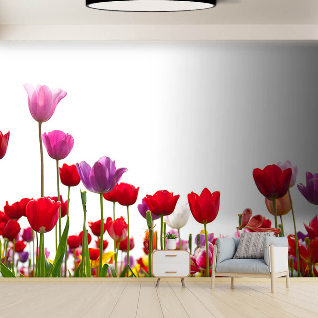 Purple yellow white flower field of red tulips wall mural