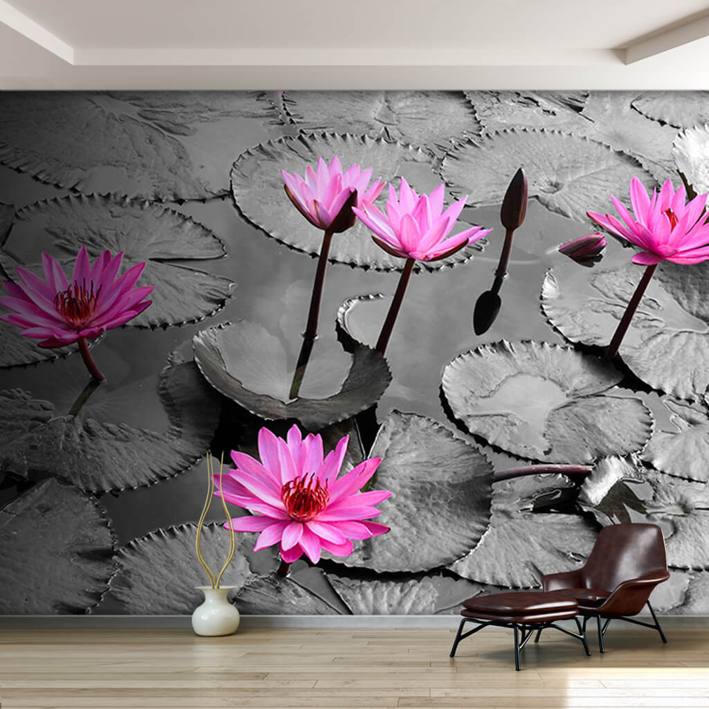 Pink blooming lilies in black lake lotus flowers wall mural