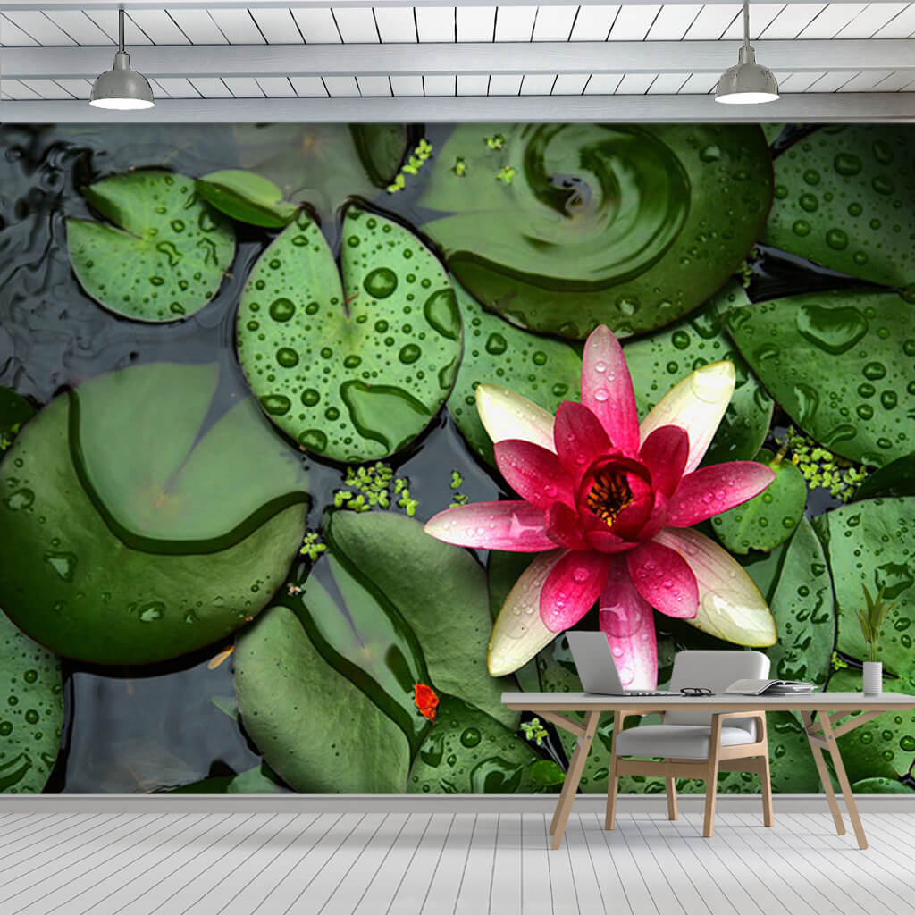 Green lotus leaves and blooming pink blossom wall mural