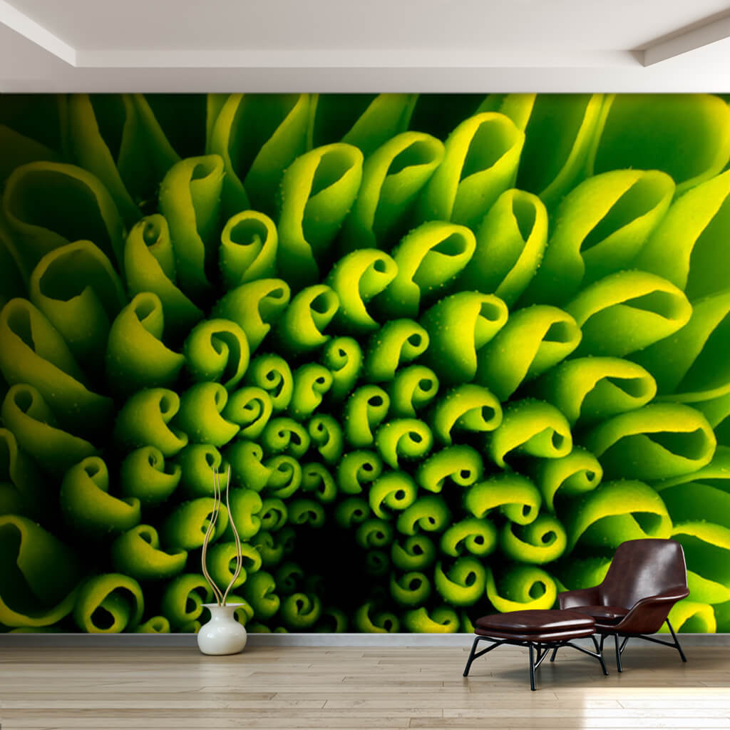 Green buds flower detail close-up customizable wall mural