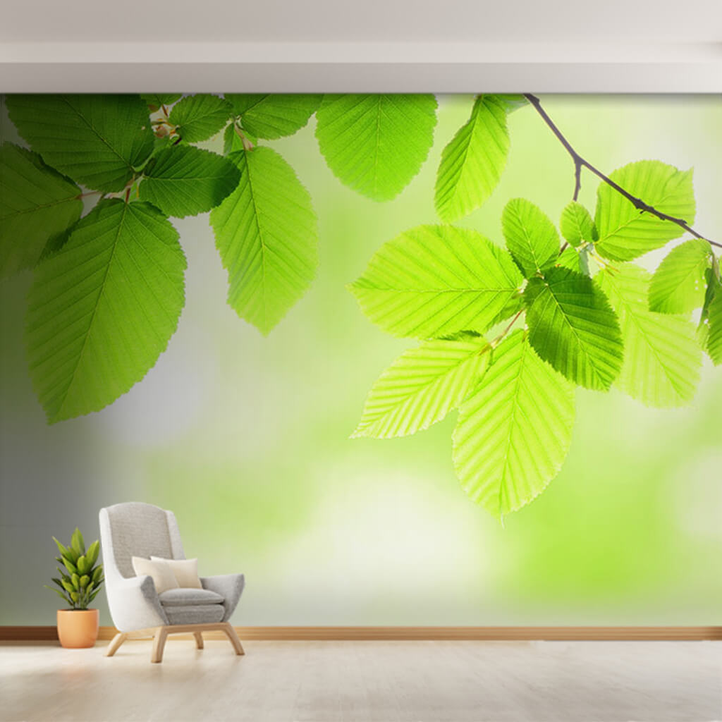Green fresh leaves in the spring kitchen bathroom wall mural