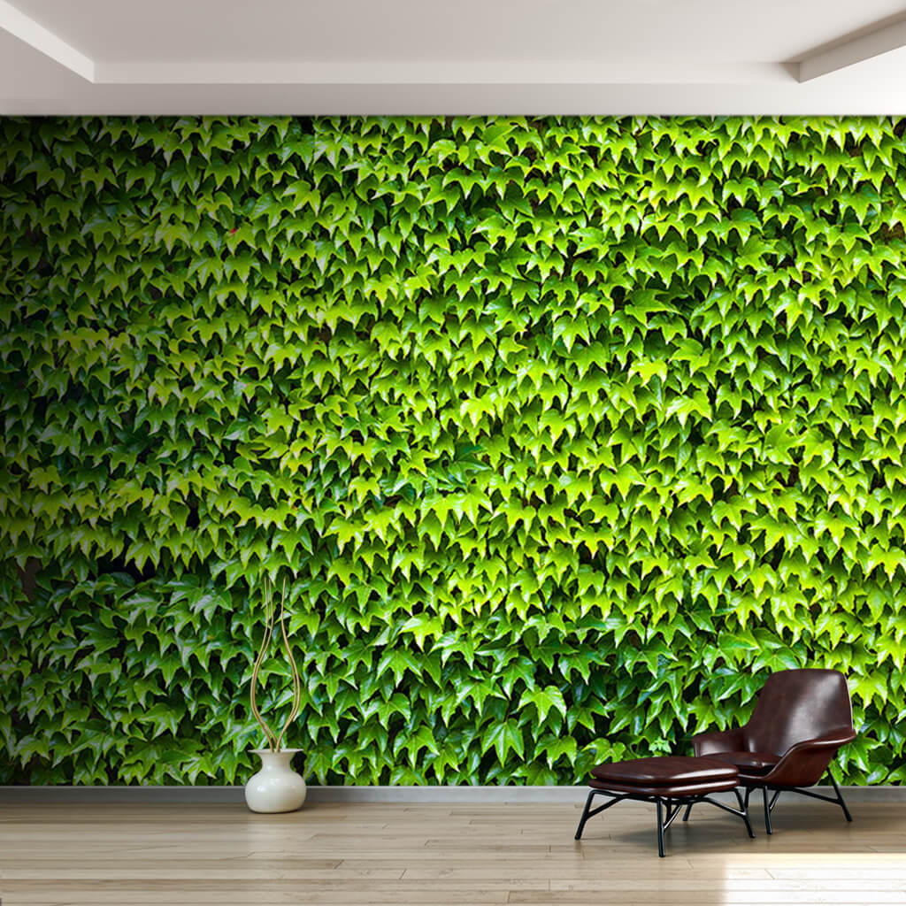 Yeşil sarmaşık yaprakları 3D duvar kağıdı