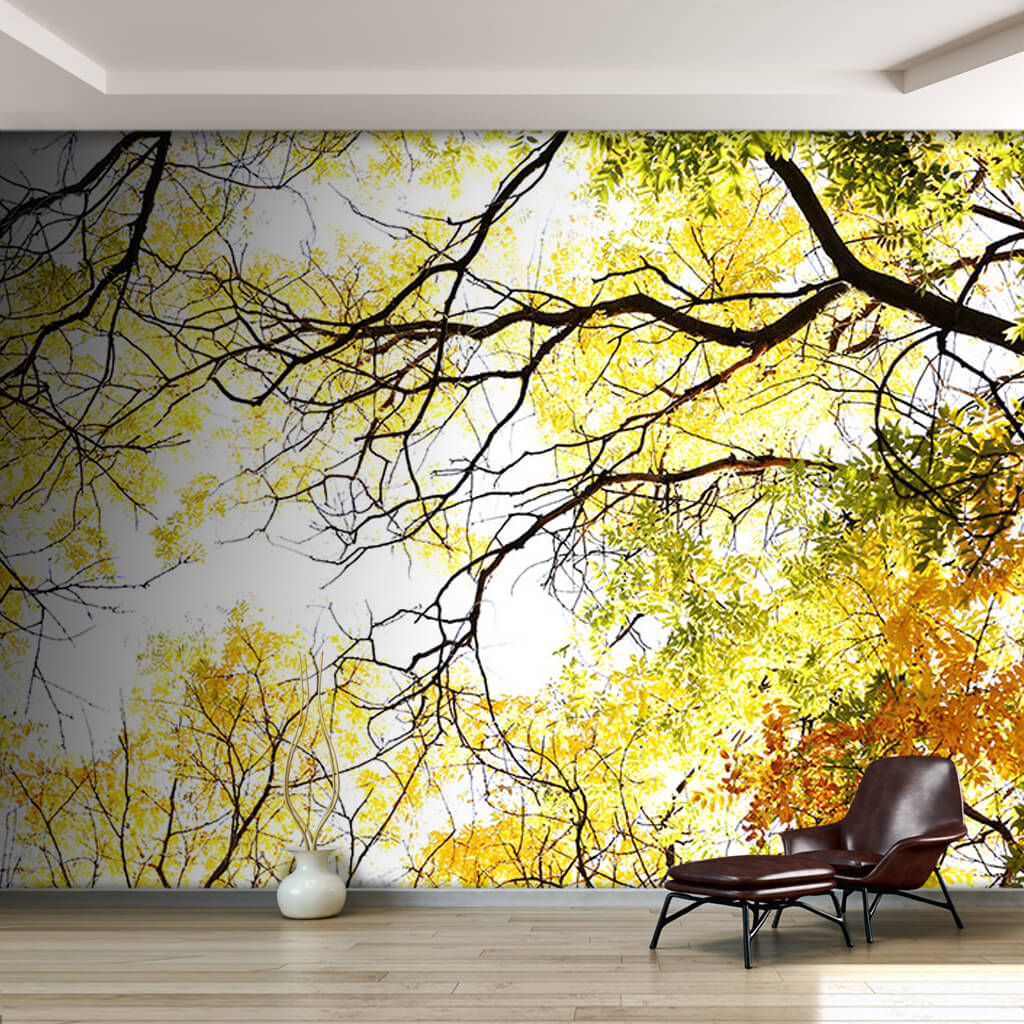 Green branches and leaves extending to the sky wall mural