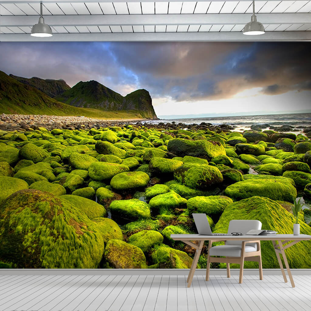 Sahilde yosunlu kayalar Norveç deniz kıyısı doğa duvar kağıdı