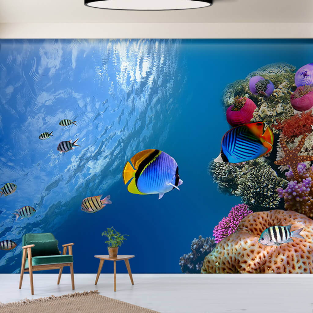 Mercan resifinde renkli tropik balıklar deniz duvar kağıdı