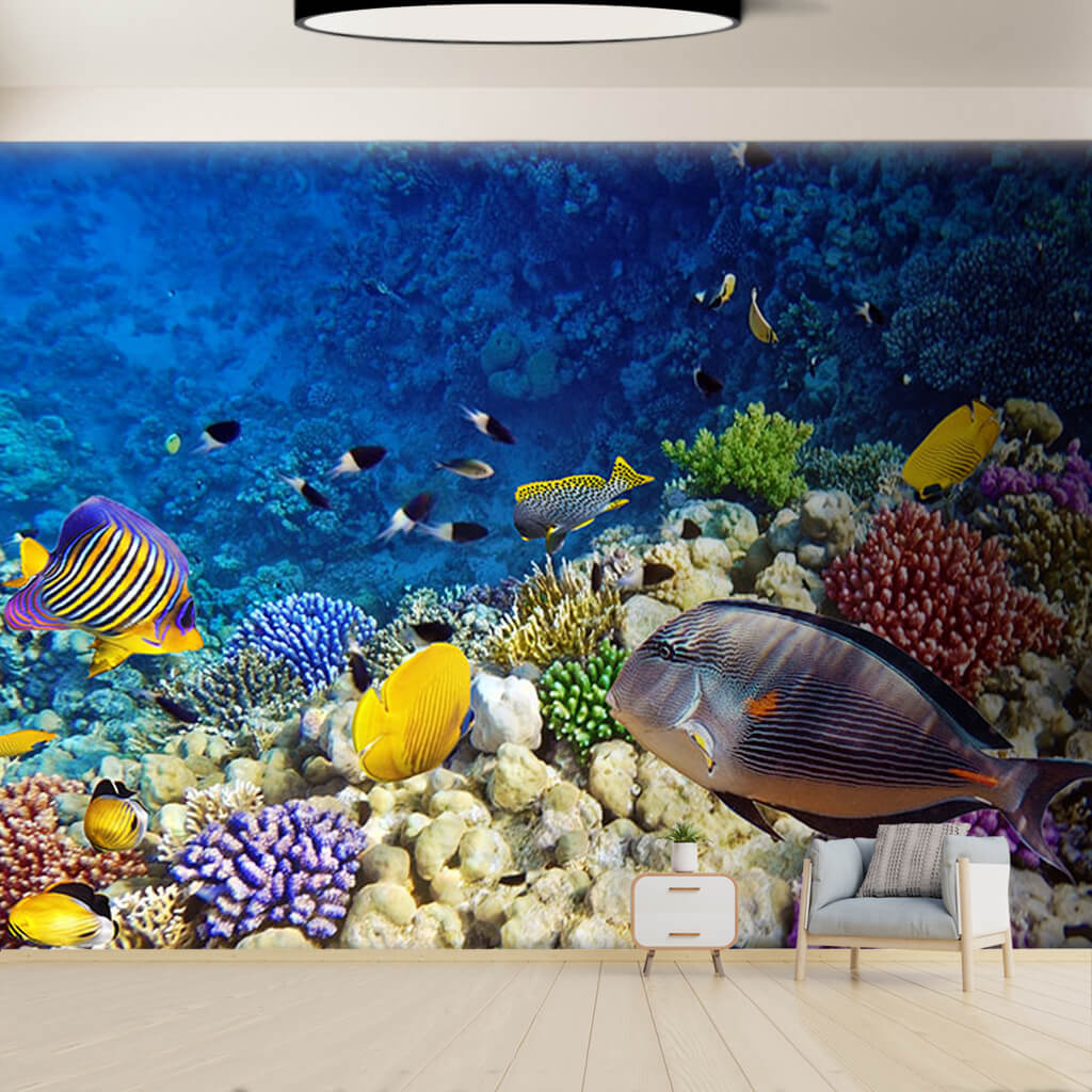 Mercan resifinde rengarenk balıklar deniz dibi duvar kağıdı
