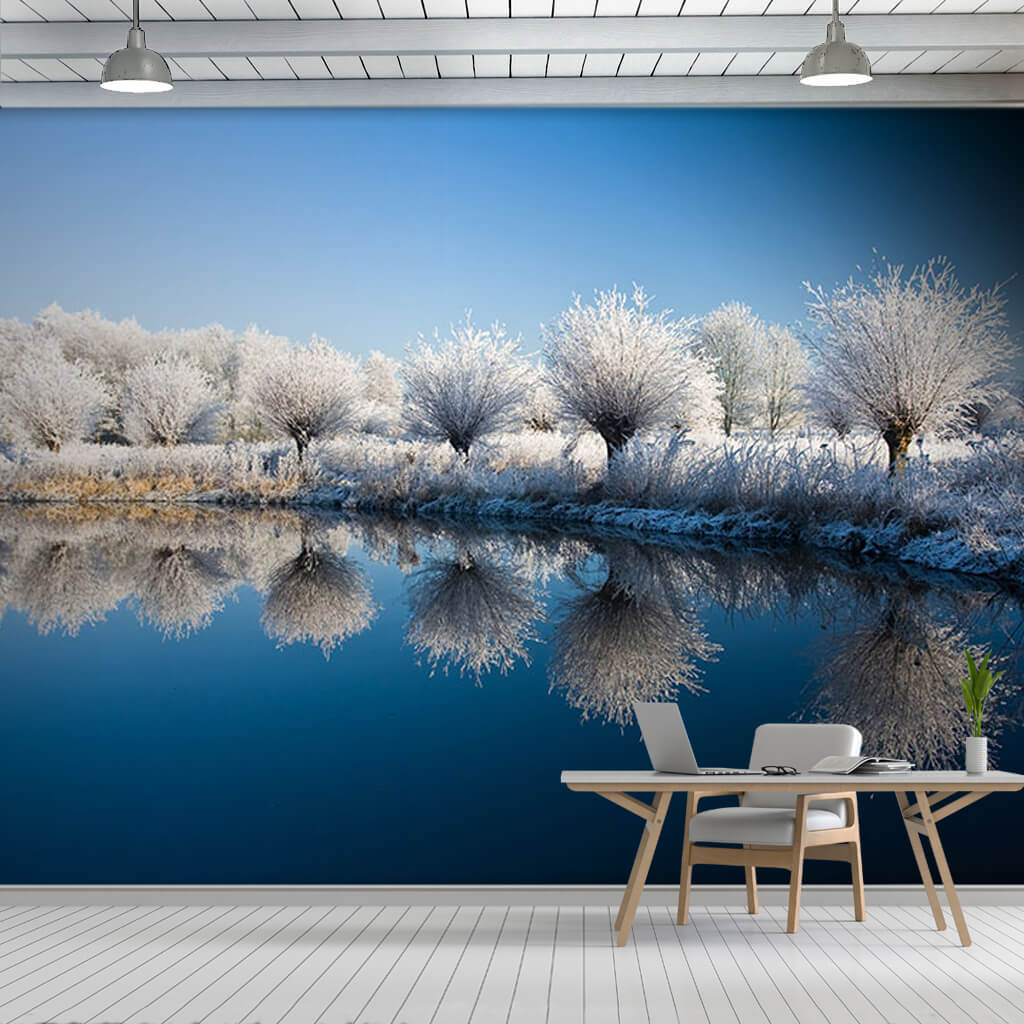 Snowy white tree reflections on the lake shore wall mural