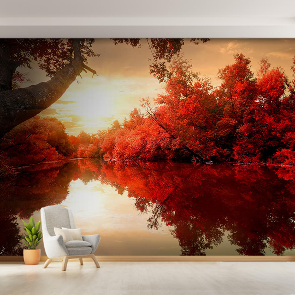 Red leaved trees along the river in autumn custom wall mural