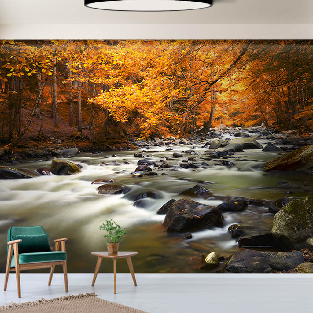 Stony creek flowing through autumn forest nature wall mural