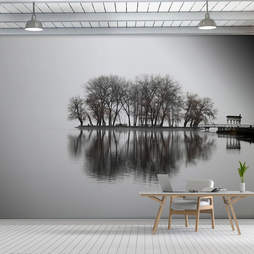 Mist and reflections in the lake black white wall mural