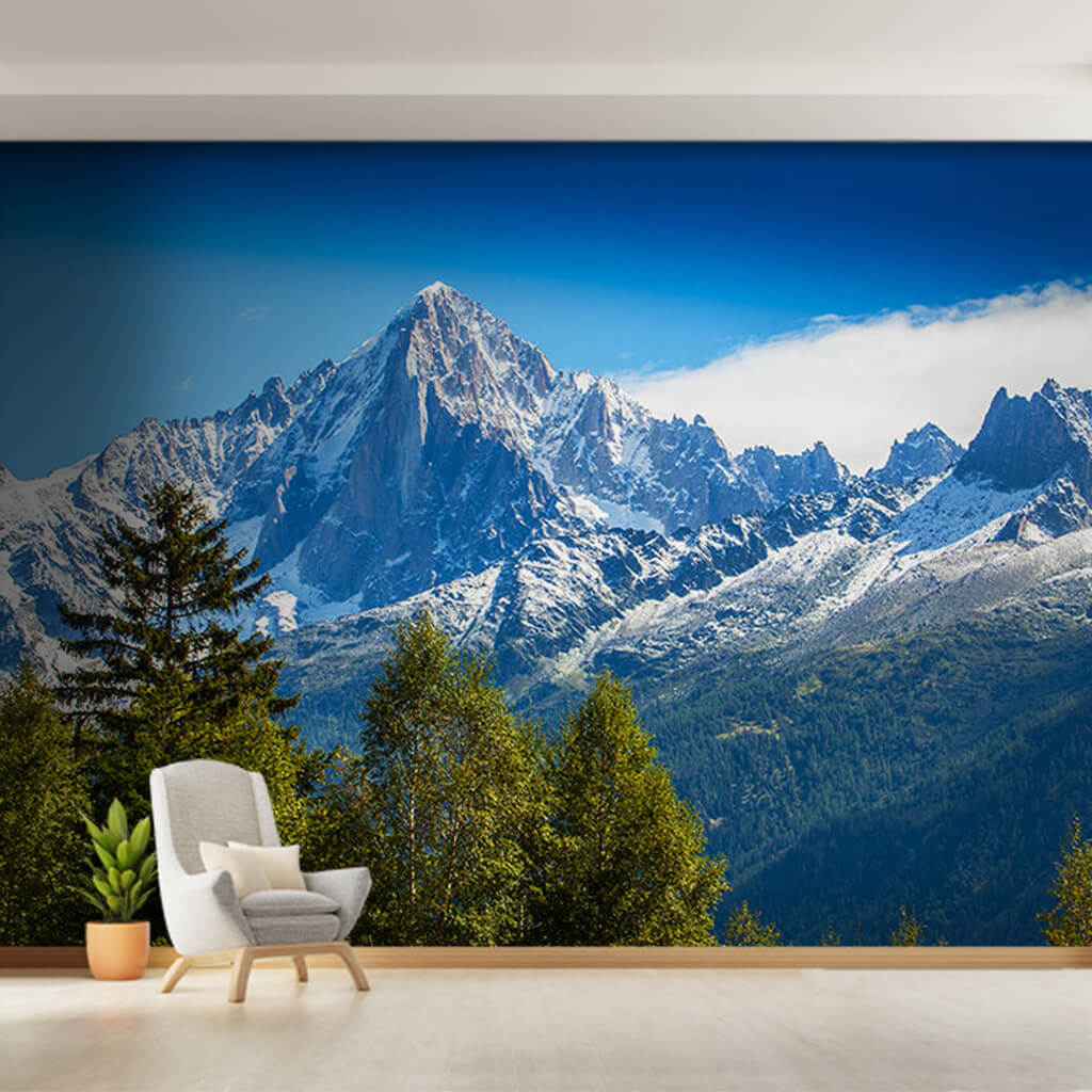Winter and forest landscape in France Alps custom wall mural