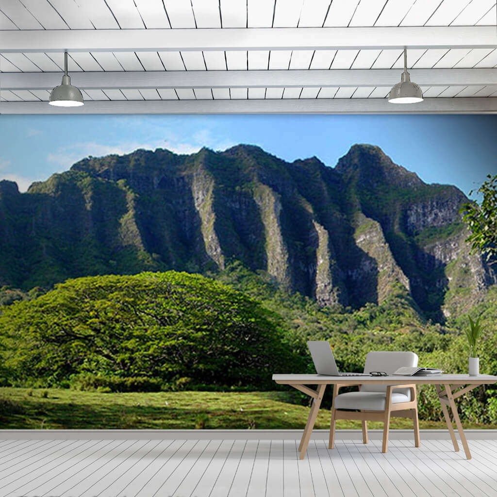 Panoramik dağlar doğa manzarası Hawaii duvar kağıdı