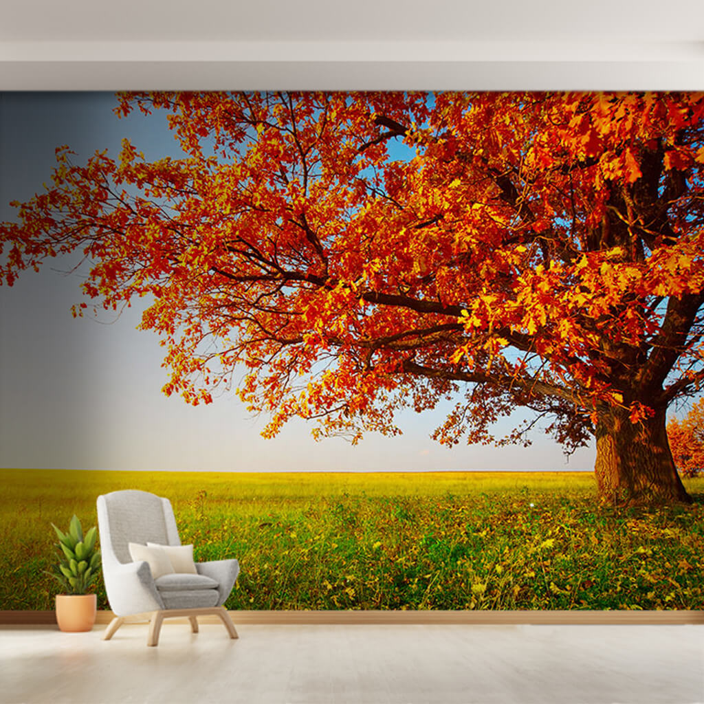 Red leafy plane tree in green plain autumn wall mural
