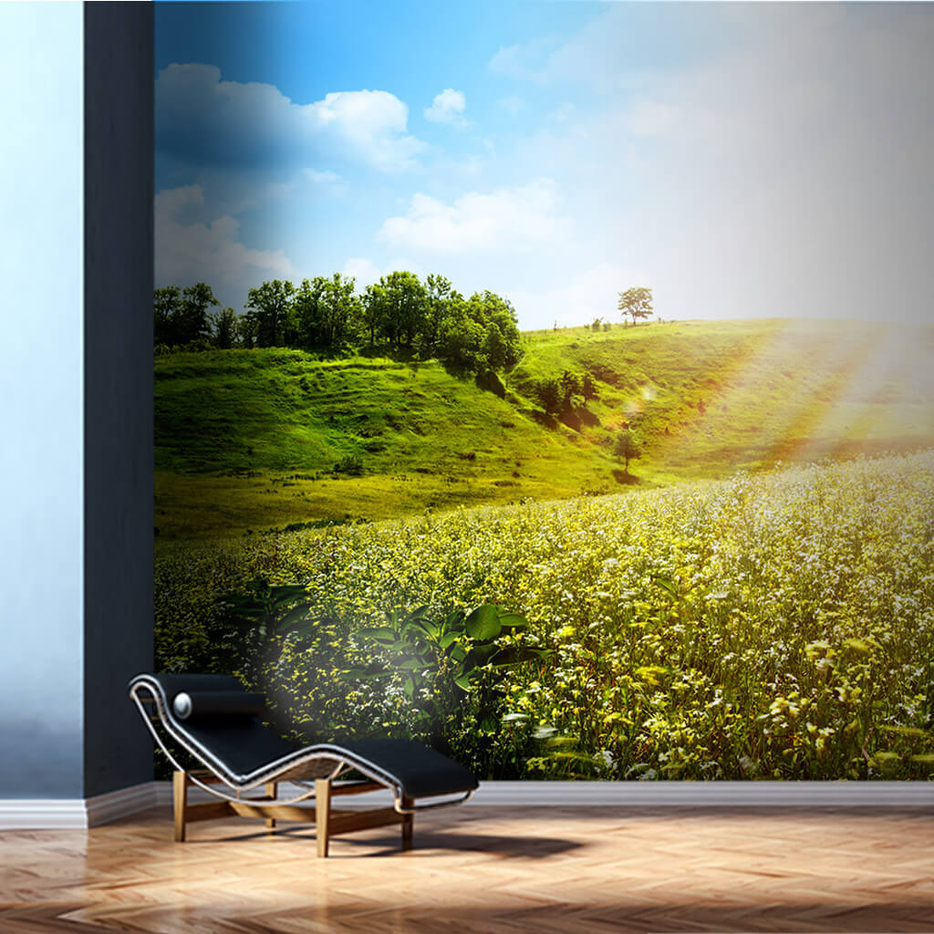 In the spring wild flowers hills and sun custom wall mural