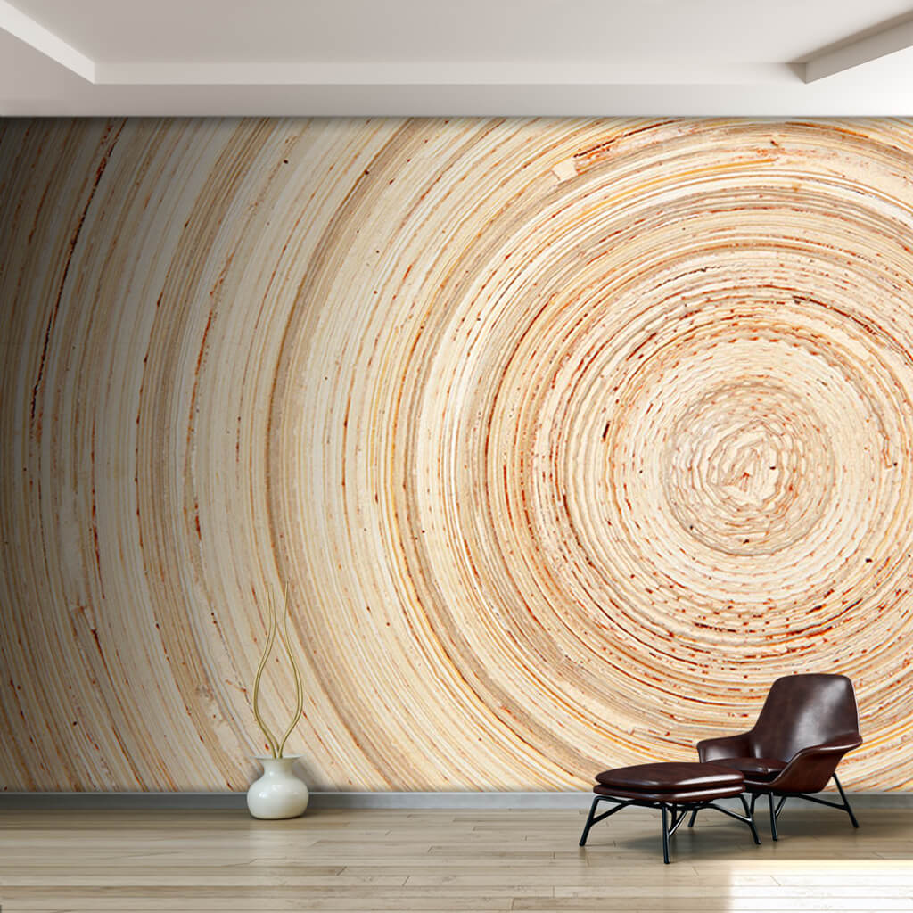 Tree cross section wood texture timber detail wall mural