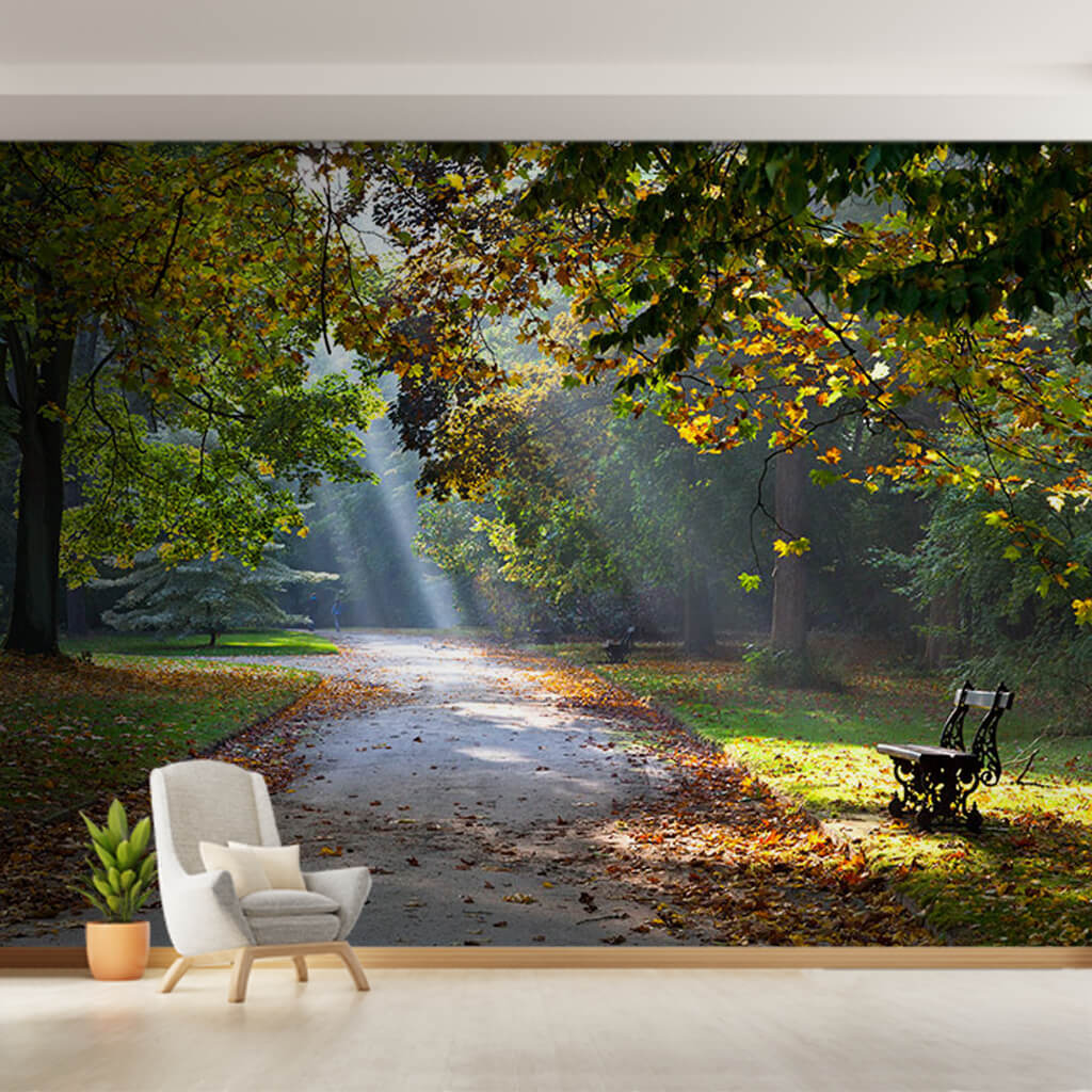 Daylight falling on path in park in autumn wall mural
