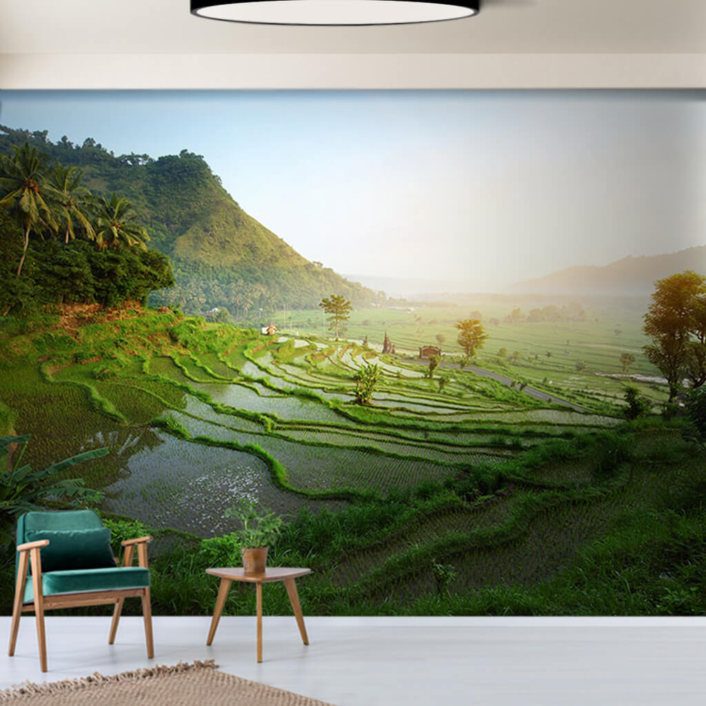 Pirinç çeltik terasları Bali Endonezya duvar kağıdı